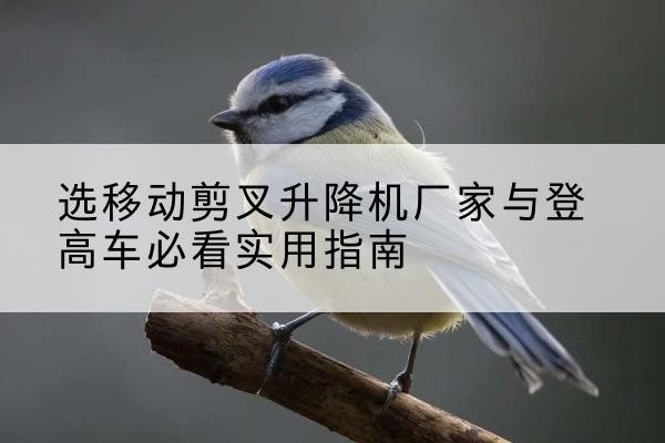 张北电动升降机厂家-选移动剪叉升降机厂家与登高车必看实用指南