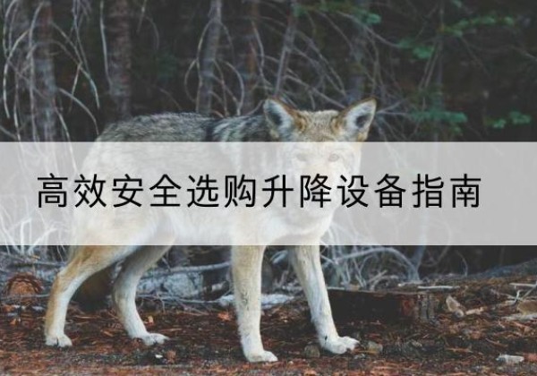 张北升降货梯厂家推荐-*安全选购升降设备指南