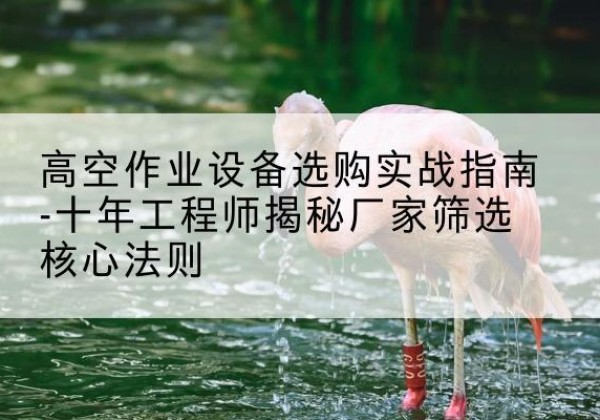 张北剪叉式升降机厂家-高空作业设备选购实战指南-十年工程师揭秘厂家筛选核心法则
